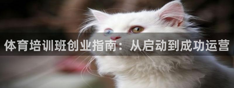 极悦娱乐创始人背景故事介绍：体育培训班创业指南：从启