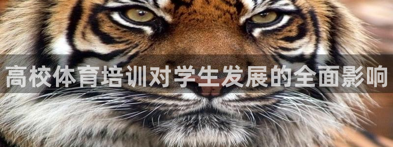 极悦平台官方网站下载：高校体育培训对学生发展的全面影