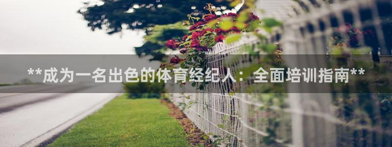 极悦官方网站app下载安卓：**成为一名出色的体育经