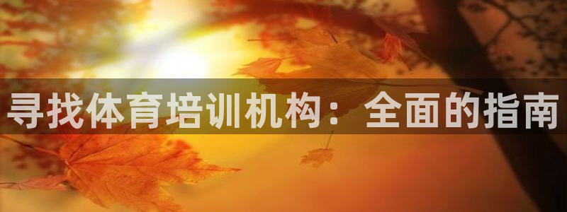 极悦平台注册用户名格式不正确：寻找体育培训机构：全面