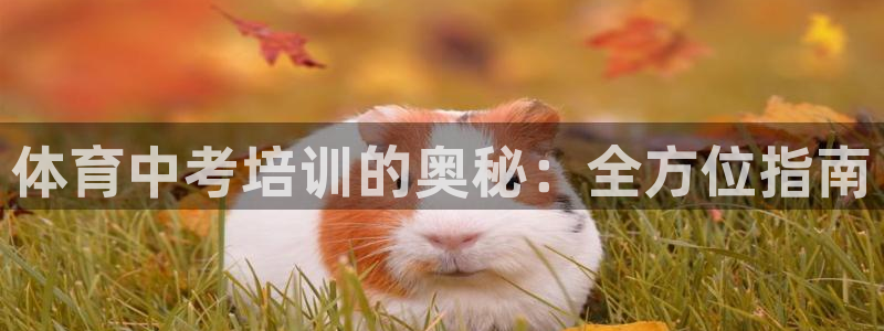 极悦平台有风险吗知乎：体育中考培训的奥秘：全方位指南