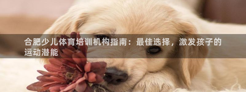 极悦娱乐方7O777：合肥少儿体育培训机构指南：最佳