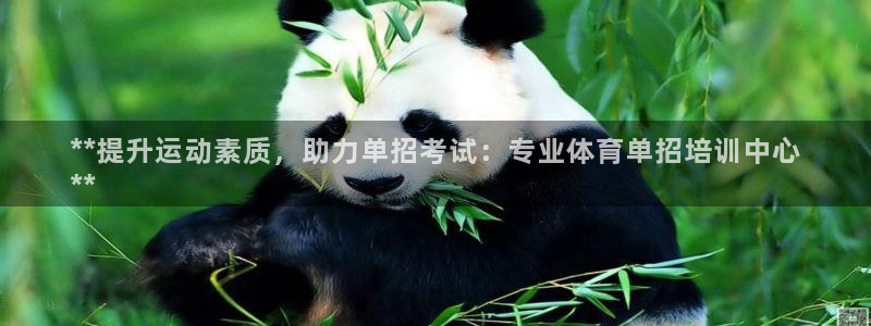 极悦娱乐app官方版本更新内容：**提升运动素质，助