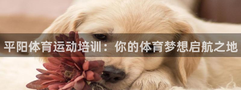 极悦娱乐公司最新招聘信息：平阳体育运动培训：你的体育