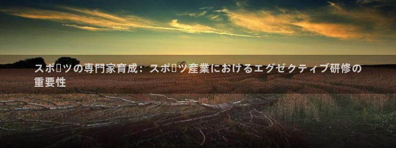 极悦娱乐app官方版本更新内容在哪：スポーツの専門家