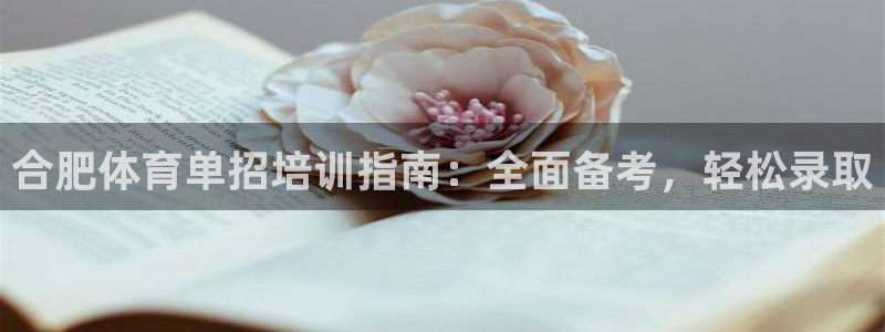 极悦官网首页登录入口网址：合肥体育单招培训指南：全面备考，轻