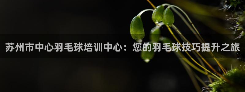 极悦官网首页登录入口网站：苏州市中心羽毛球培训中心：