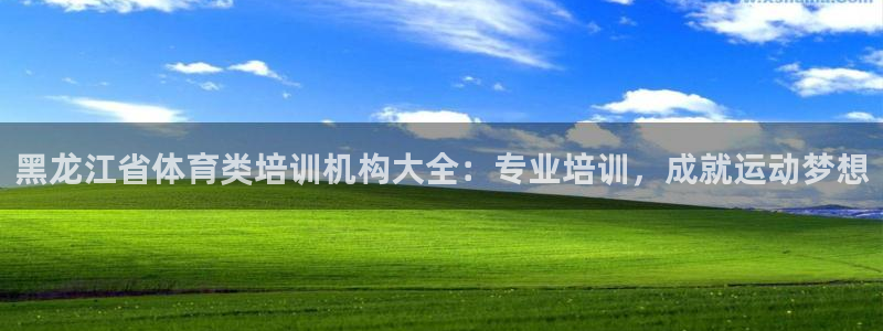 极悦娱乐公司最新招聘信息：黑龙江省体育类培训机构大全