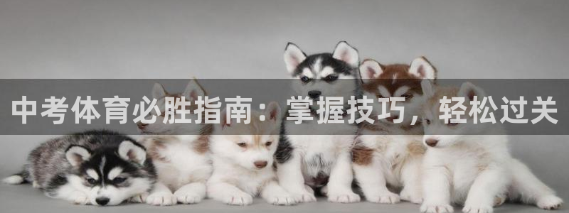 极悦平台客服团队名称：中考体育必胜指南：掌握技巧，轻