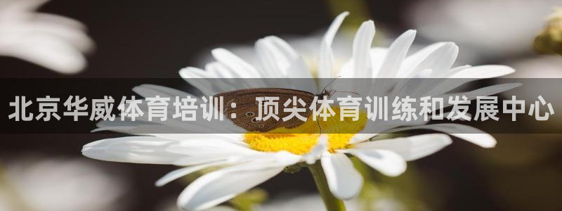 加盟极悦教育：北京华威体育培训：顶尖体育训练和发展中