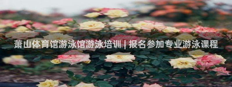 极悦娱乐挂机赚钱是真的吗：萧山体育馆游泳馆游泳培训 