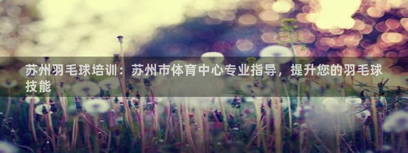 极悦娱乐的最新版本更新内容：苏州羽毛球培训：苏州市体