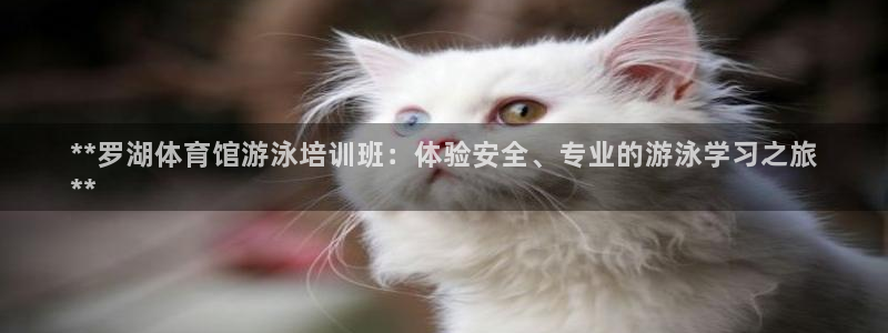 极悦平台官方网站登录入口：**罗湖体育馆游泳培训班：