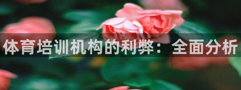 极悦平台客服的联系方式：体育培训机构的利弊：全面分析