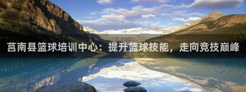 极悦平台用户评价与反馈：莒南县篮球培训中心：提升篮球