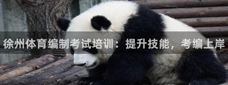 极悦平台有风险吗安全吗：徐州体育编制考试培训：提升技