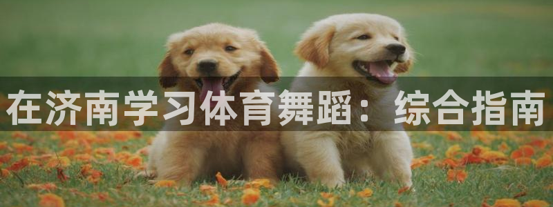 苏州极悦信息科技有限公司：在济南学习体育舞蹈：综合指