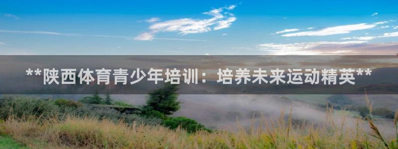 极悦生活家是什么平台：**陕西体育青少年培训：培养未