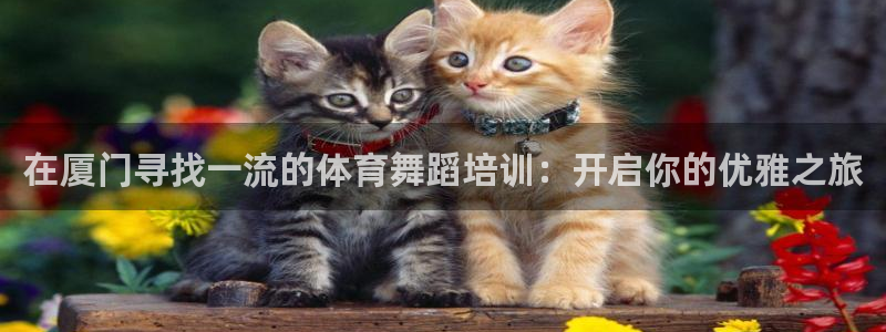 极悦娱乐下载安装手机版：在厦门寻找一流的体育舞蹈培训