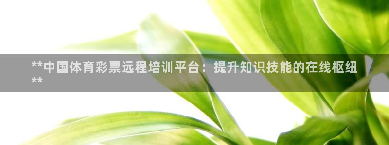 极悦平台代理电话：**中国体育彩票远程培训平台：提升