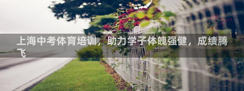 极悦娱乐贴吧百度：上海中考体育培训，助力学子体魄强健
