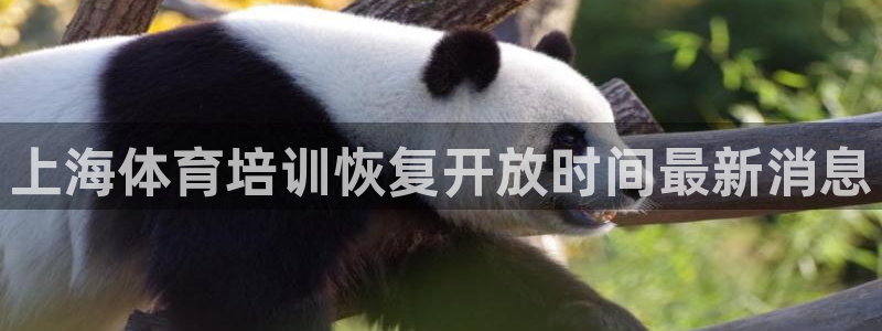 极悦娱乐官网客服联系方式是什么：上海体育培训恢复开放