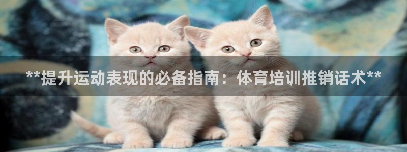 极悦官网首页：**提升运动表现的必备指南：体育培训推