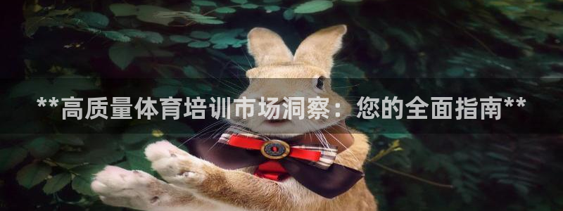 极悦牙膏怎么样好不好：**高质量体育培训市场洞察：您