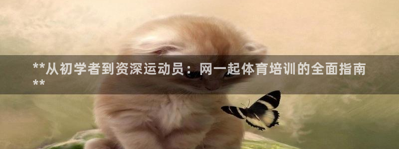 极悦官方网站入口网址大全：**从初学者到资深运动员：