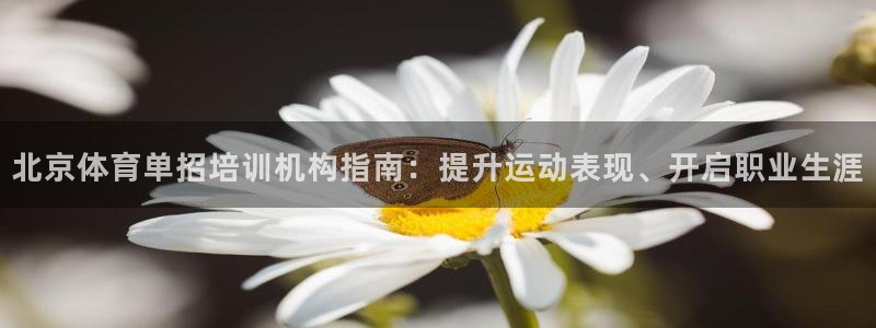极悦平台客服团队介绍：北京体育单招培训机构指南：提升