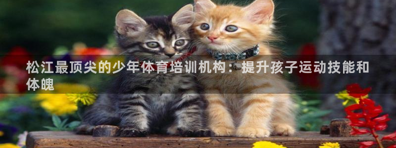 极悦平台基7O777：松江最顶尖的少年体育培训机构：