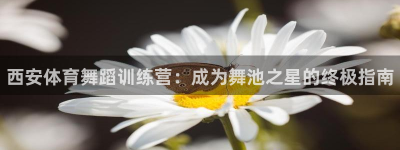 极悦平台注册登录入口官网：西安体育舞蹈训练营：成为舞