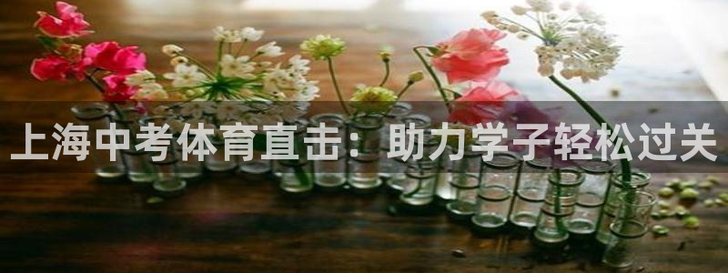 极悦平台官方网站登录：上海中考体育直击：助力学子轻松