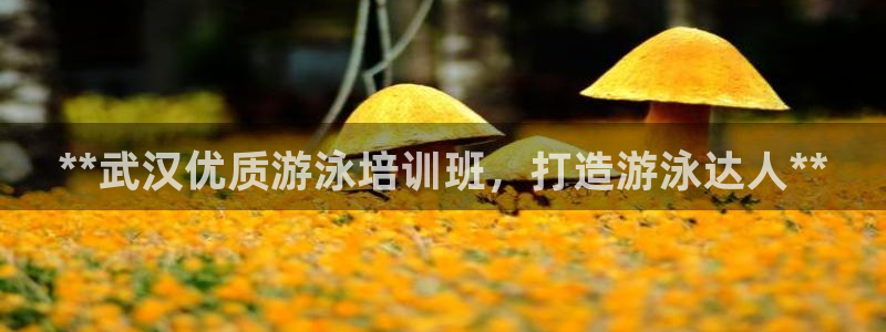 极悦娱乐官网下载：**武汉优质游泳培训班，打造游泳达