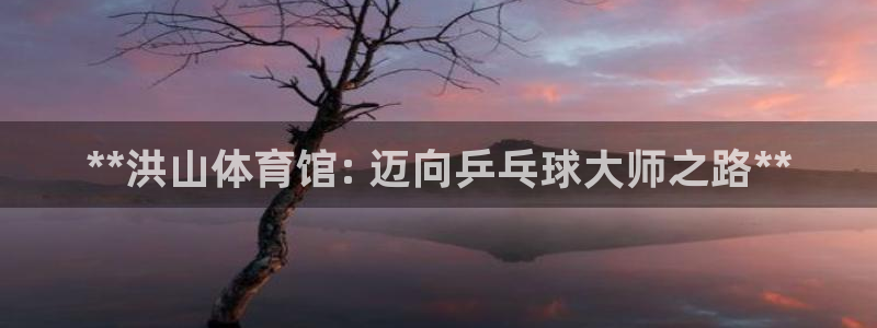 极悦官方网站入口网址大全：**洪山体育馆: 迈向乒乓