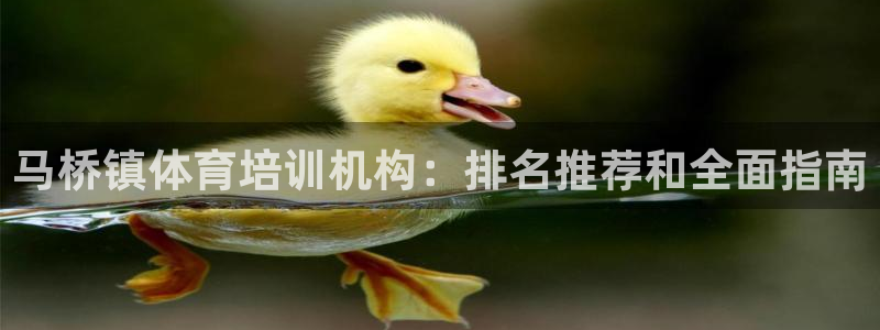 极悦平台注册登录入口：马桥镇体育培训机构：排名推荐和