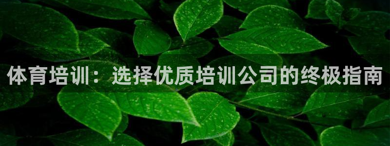 极悦平台布7O777：体育培训：选择优质培训公司的终