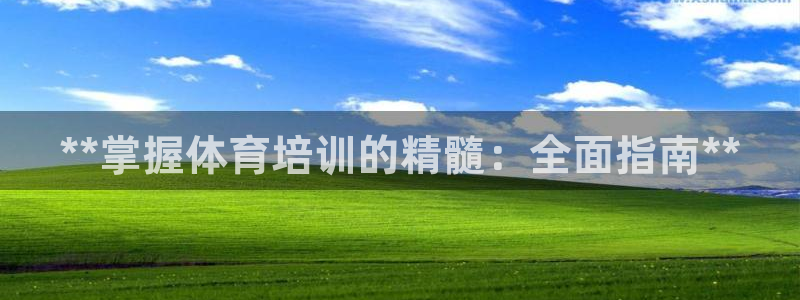 极悦平台app二维码怎么弄到桌面：**掌握体育培训的