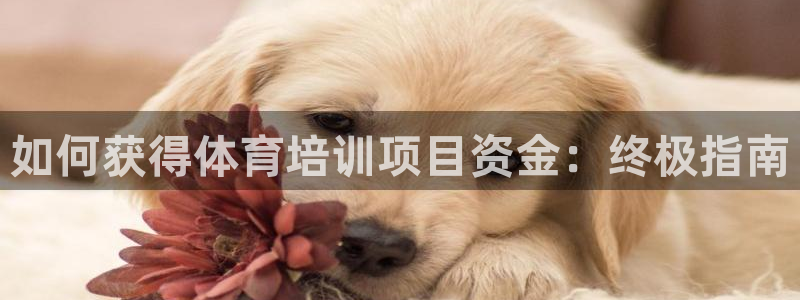 极悦平台客服的联系方式是：如何获得体育培训项目资金：