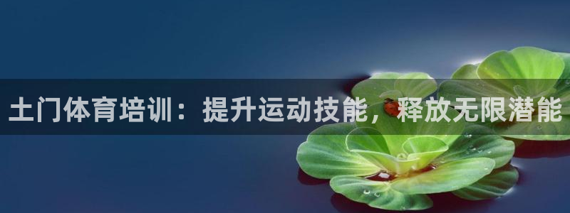 极悦平台官方网址查询：土门体育培训：提升运动技能，释