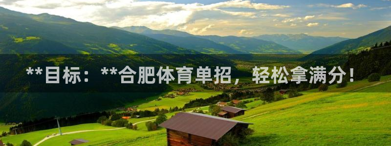 极悦平台与网易合作详情在哪：**目标：**合肥体育单