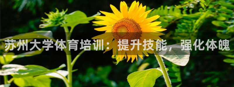 极悦娱乐方7O777：苏州大学体育培训：提升技能，强