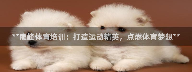 极悦平台登录人7.0.2.4登录入口：**巅峰体育培