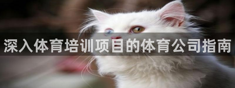 极悦娱乐官网下载：深入体育培训项目的体育公司指南