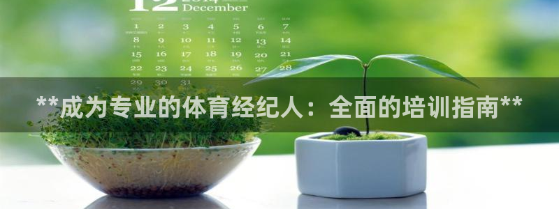 极悦平台是正规平台吗安全吗：**成为专业的体育经纪人