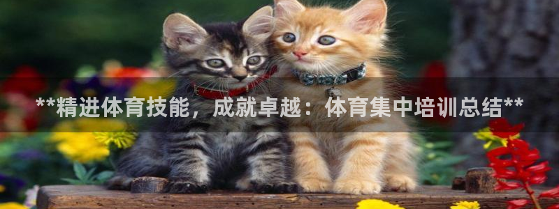 极悦官网登录：**精进体育技能，成就卓越：体育集中培