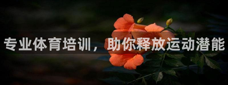 极悦官方网站入口网址是多少：专业体育培训，助你释放运