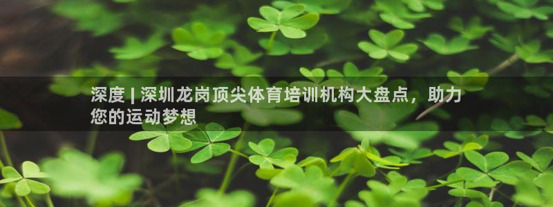 极悦平台官方网站首页下载：深度 | 深圳龙岗顶尖体育