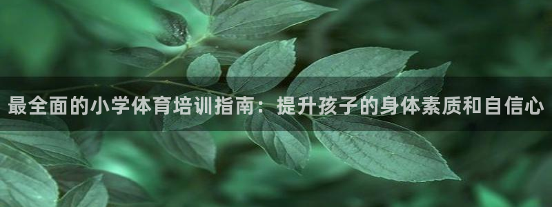 极悦平台客服的联系方式是什么：最全面的小学体育培训指