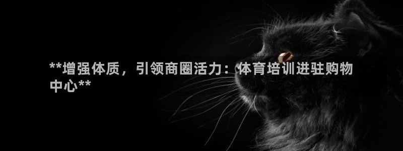 极悦平台官方网址是多少：**增强体质，引领商圈活力：
